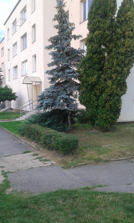 Apartman Ortenova 74 Kutná Hora Eksteriør billede